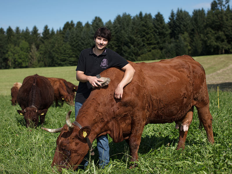 Abholtermin für Rindfleisch